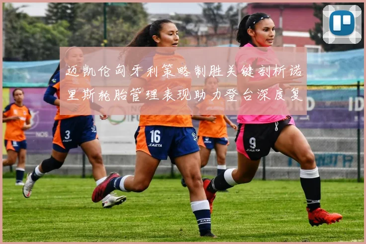 迈凯伦匈牙利策略制胜关键剖析诺里斯轮胎管理表现助力登台深度复盘