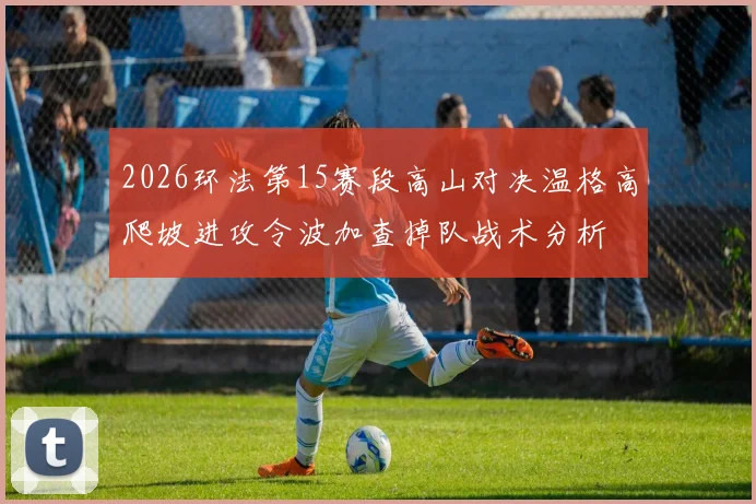 2026环法第15赛段高山对决温格高爬坡进攻令波加查掉队战术分析