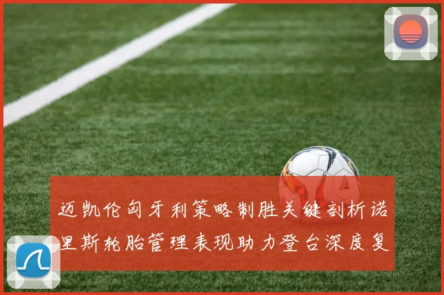 迈凯伦匈牙利策略制胜关键剖析诺里斯轮胎管理表现助力登台深度复盘